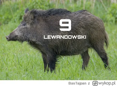 BasTajpan - Powrót króla #mecz