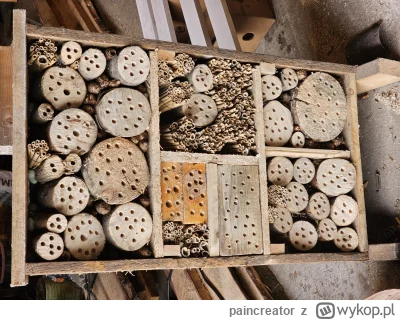 paincreator - Nie tylko hodowlą pszczoły miodnej się człowiek zajmuje. 
było trochę k...