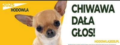 CuckolDDonald - @Nighthuntero: