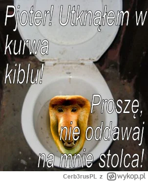Cerb3rusPL - #konkursnanajbardziejgownianymemznosaczem