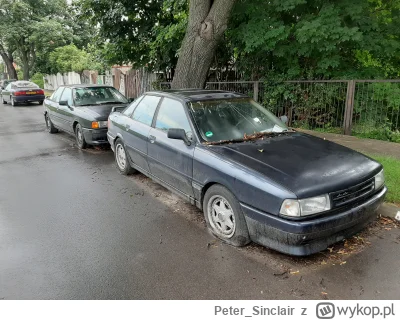 PeterSinclair - @PeterSinclair: