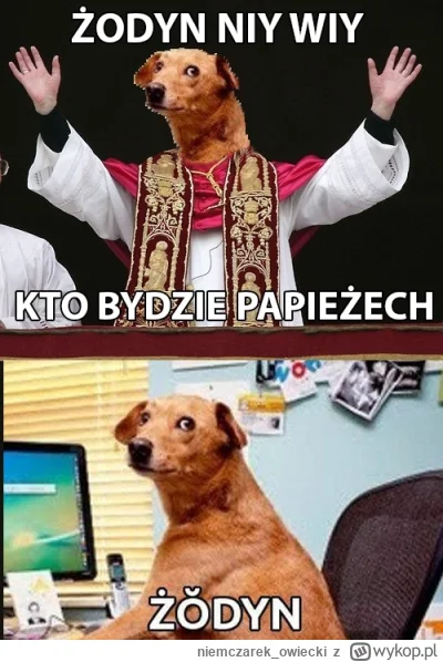 niemczarek_owiecki - #papiez Będzie niespodzianka. W sensie nie jakiś nikomu nie znan...