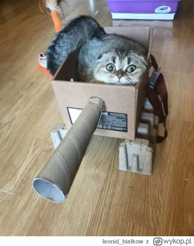 leonid_bialkow - @wfyokyga: cze dla cb