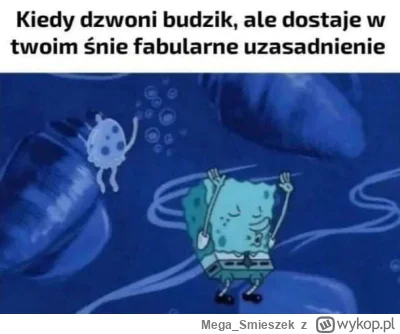 Mega_Smieszek