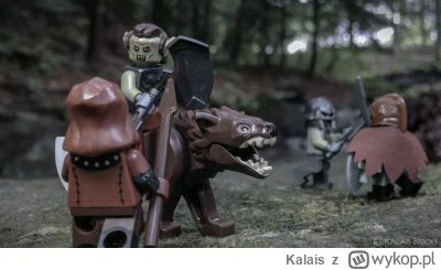 Kalais - [Zdjęcia] Wolfpack odwiedza Władcę Pierścieni

Wziąłem na wakacje kilka mini...