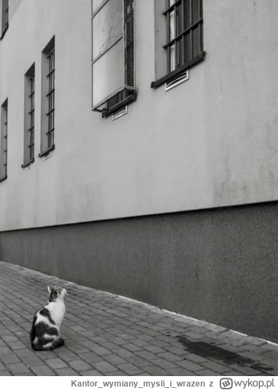 Kantorwymianymysliiwrazen - @Domciu: