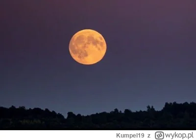 Kumpel19 - A tu znajduje się normalne zdjęcie Księżyca wykonane z Ziemii... ¯\(ツ)/¯