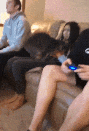 r5678 - @Lujdziarski: ładnie śpi.
 jak można nie lubić kotków?

@krystiano_ps3: