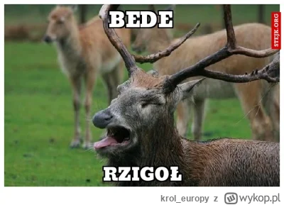 krol_europy - psiarze to podludzie...