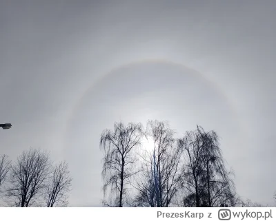 PrezesKarp - Halo! To ja. 
#halo #niebo #slonce #pogoda