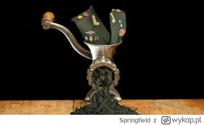 Springfield - @CarlChryniszzswics: przemielona w kacapską mortadele