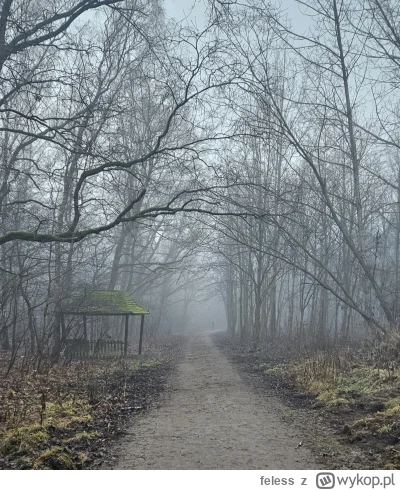 feless - @ChlopoRobotnik2137:  tup tup tup

#las