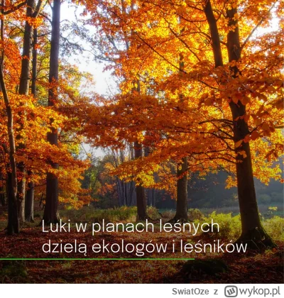 SwiatOze - 🔍Najwyższa Izba Kontroli przyjrzała się gospodarce leśnej w Polsce. Choć ...