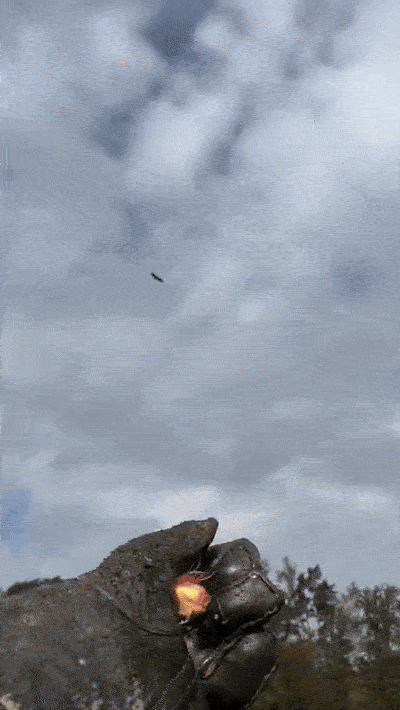 wfyokyga - 🦅🦅🦅🦅🦅