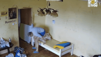 spreparowany - @Fatalista1988: TAG czysty do uja pana można iść się położyć. NO a nje...