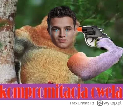 TraxCrystal - #f1 xD