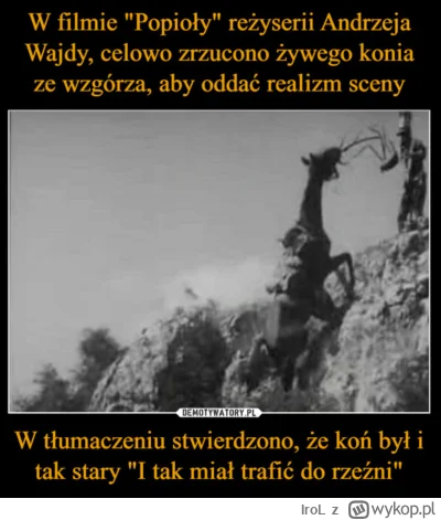 IroL - @zyneks Wajda zwalił konia