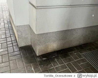 Tortilla_Orzeszkowa - Ciąg dalszy epopei „pieski w blokach”, wracając z zakupów ledwo...