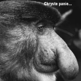 jelendaniel - @Minieri: Ta Jagiellonia to pewnie w zeszłym sezonie ledwie utrzymanie?...