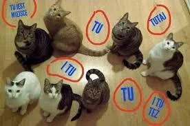 Multipurpose_Labels - @Lujdziarski