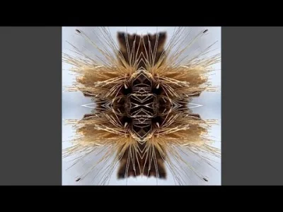 cultofluna - #metal #progressivemetal #posthardcore
#cultowe (1561/1000)
Yakuza - Ca...