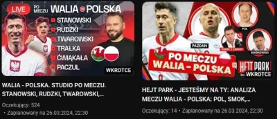 Papileo - Przypominam, że po meczu będzie dogrywka, czyli #kanalzero vs #kanalsportow...