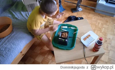 Dominikjagoda - Synek od małego pomaga w domu.

#dzieci #rodzina #polskiedomy