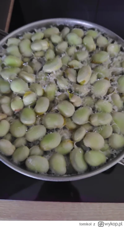 tomkol - #ilekilobobu 
11/
Darzbób!
No i dzisiaj 11. kilogram bobu. Cena 16 zł/kg. 
N...