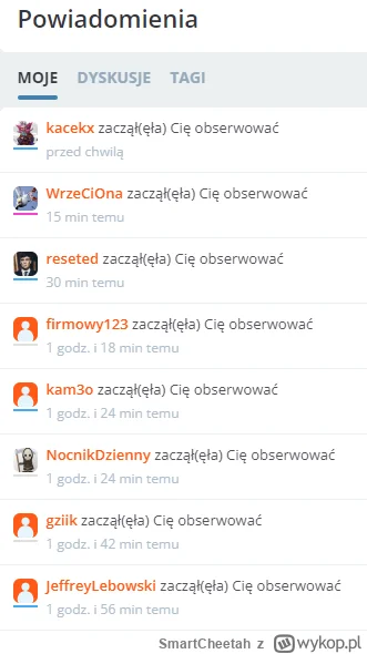 SmartCheetah - jestę influencerę.