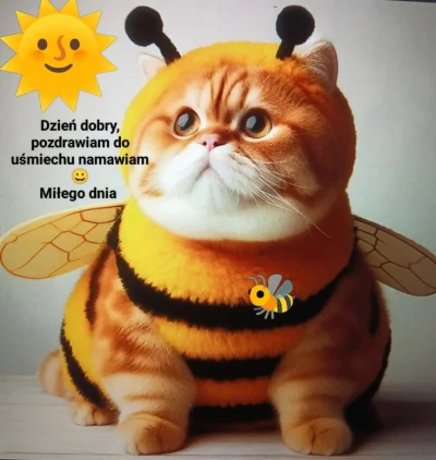 B.....f - #kartkanarano