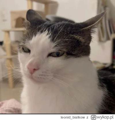 leonid_bialkow - @Wrrronika: no i fajen
SPOILER