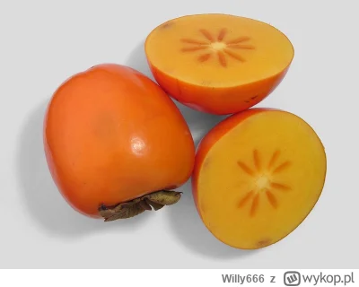 Willy666 - @mocten taki chiński pomidor