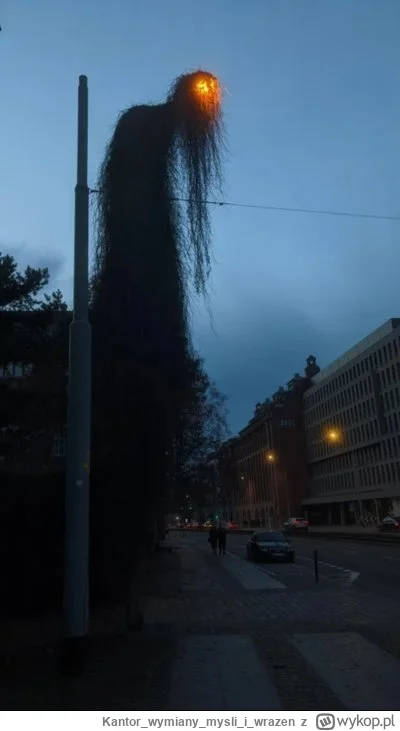 Kantorwymianymysliiwrazen - @nightmeen: @piaskun87