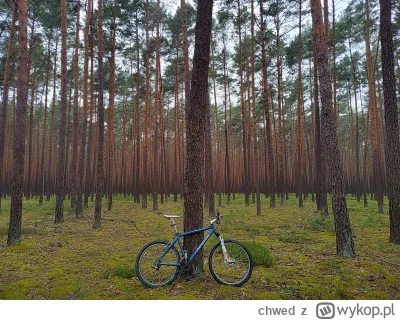 chwed - 410 117 + 33 = 410 150

Wczorajsze pokręcenie po wsiach takich jak Malewszczy...