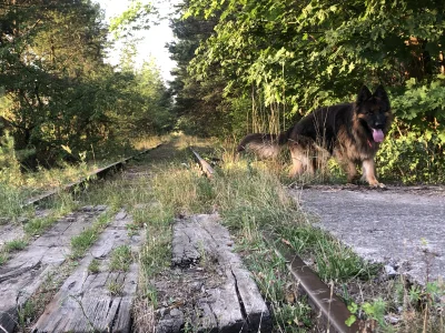 RabarbarDwurolexowy - Hej, jakie mapy(jaką apkę) ściągnąć na Iphona(nie wiem czy to m...