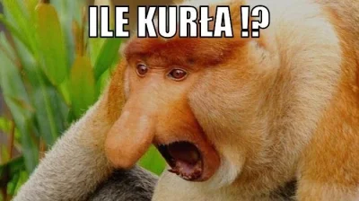 baltonoski - @RepeatPlease: 
Nussbeisser 100g
Cena regularna 10,99 zł