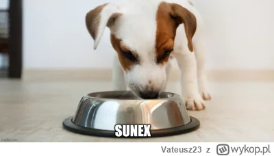Vateusz23 - Zapowiada się ładne odbicie i zakończenie korekty #gielda #sunex