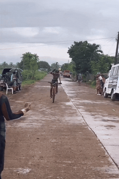 kicek3d - #rower #koty #gif