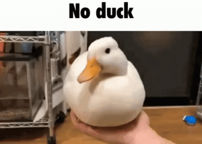 danjelek - patrzę tylko jak piss traci każdy ulamek % i czuje się cudownie

#wybory