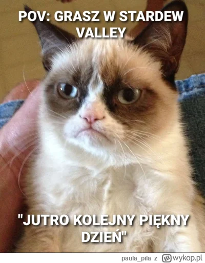 paula_pila - #humorobrazkowy #stardewvalley #memy