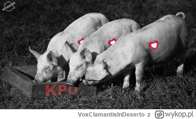 VoxClamantisInDeserto - #polityka #kpo