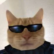 dywergent - macie jakas umiejetnosc z ktorej jestescie dumni?