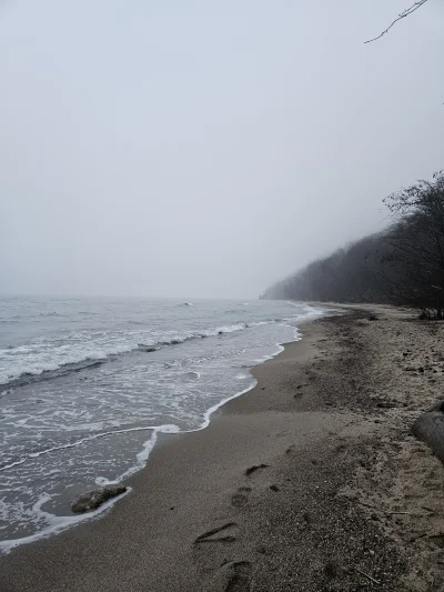 dziobnij2 - Poranny #spierdotrip