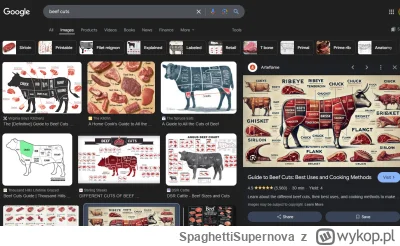 SpaghettiSupernova - #ai #zalesie 

Coraz bardziej gówniane wychodzą wyniki wyszukiwa...