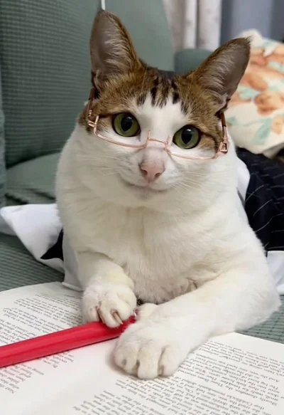 dywergent - albo juz coraz gorsze schizo mam albo faktycznie z dnia na dzien jest tu ...