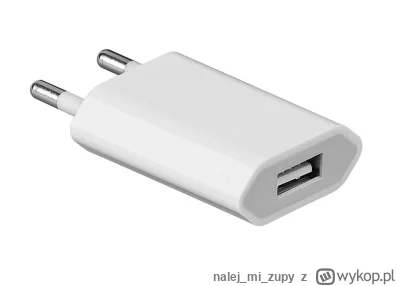 nalejmizupy - Jest na rynku jakaś ładowarka z portem usb-c która wielkością dorówna t...