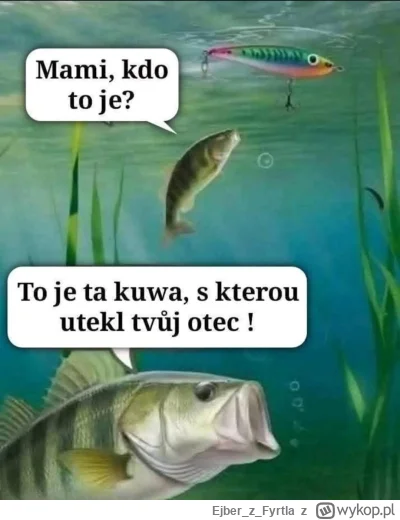 EjberzFyrtla - #heheszki #humorobrazkowy