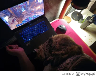 Cedrik - Piątek, piąteczek, piątunio

#pokazkota #grajzwykopem