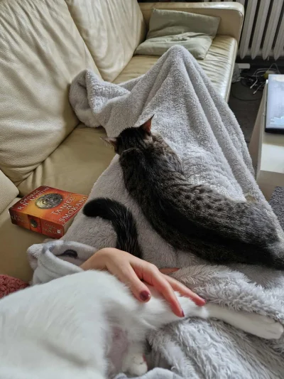 renegade_vatican - @tubkas12: no chyba k---a wedlug vandera bo on wszezzie ich widzi....