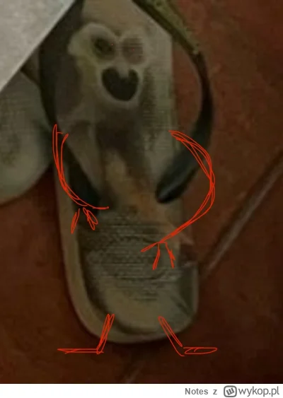 Notes - @ChadzeStuleja ale j---e 🤢